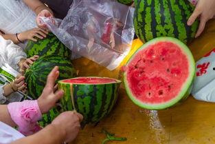 大学宿舍吃瓜视频,大学生活里的趣味瞬间