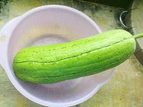 水瓜可以炒着吃么吗视频,视频教程教你轻松上手