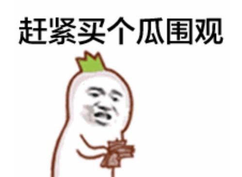 吃瓜群众抽筋视频大全集,吃瓜群众欢乐视频合集