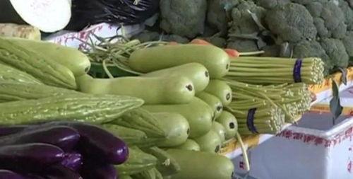 茄瓜四种人不宜吃吗视频,揭秘四种人群不宜食用的真相