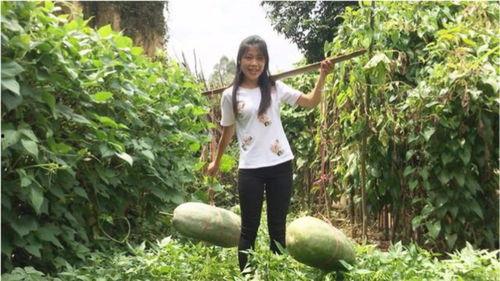 吃瓜看到的视频在哪里看,吃瓜群众热议的神秘视频，究竟在哪里观看？