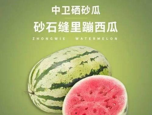 吃硒砂瓜的视频大全,视频大全带你领略舌尖上的沙漠奇迹