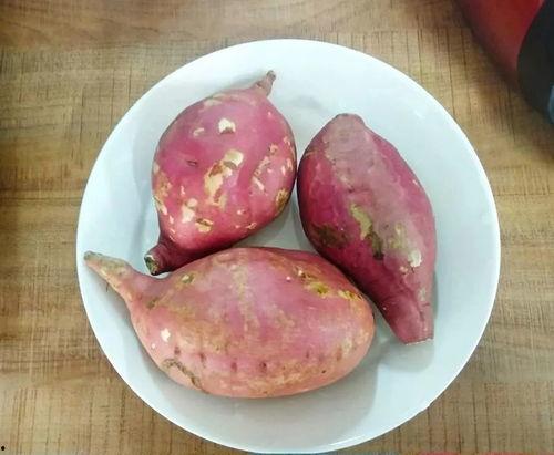 地瓜吃瓜的视频,趣味横生的田园生活趣事