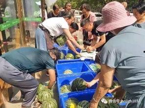 农大操场吃瓜事件视频