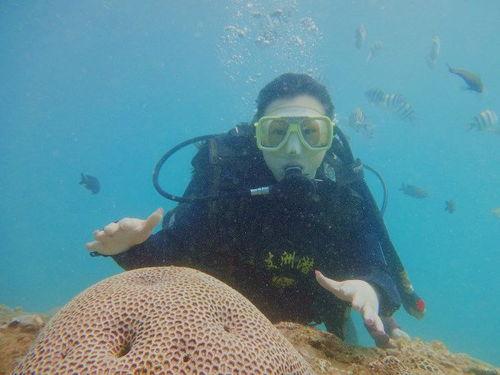 吃瓜小熊潜水视频播放,吃瓜小熊的潜水探险之旅