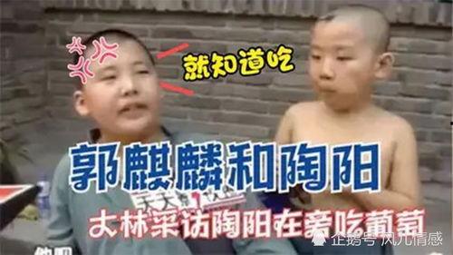 吃瓜叫爸爸视频下载,揭秘热门短视频背后的魅力