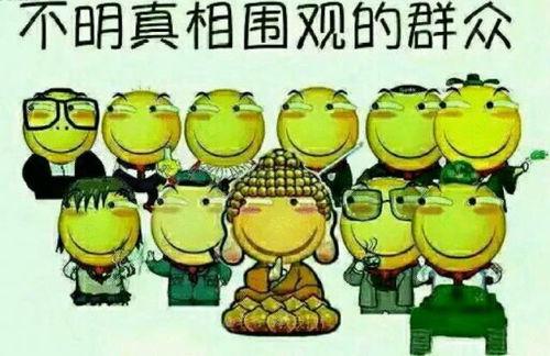 吃瓜群众兔子视频,揭秘吃瓜群众背后的趣味故事