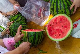 镇江吃瓜视频在线观看,带你领略当地美食风情