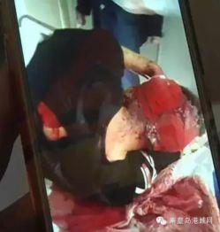 秦皇岛吃瓜事件视频,一场网络热议的真相揭秘