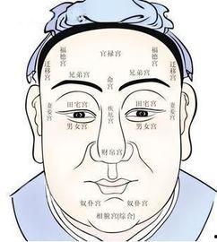 王婆吃瓜面相分析视频,洞察人心的小技巧