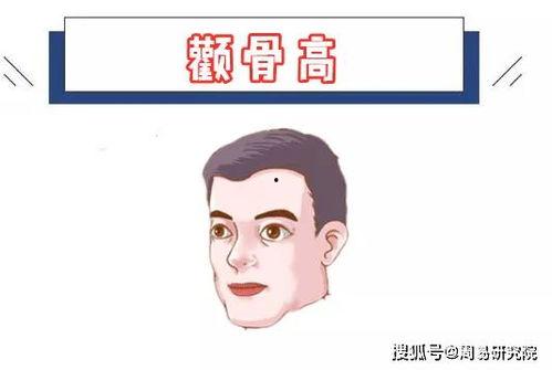 王婆吃瓜面相分析视频,洞察人心的小技巧