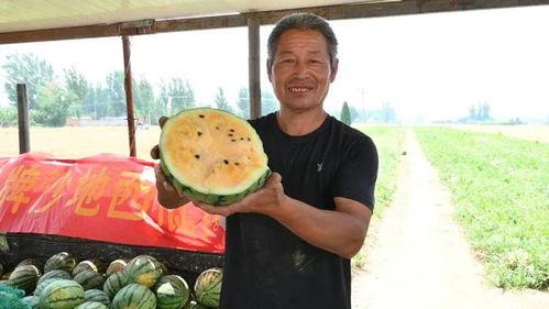 枣庄最新吃瓜事件视频,视频揭秘惊人真相