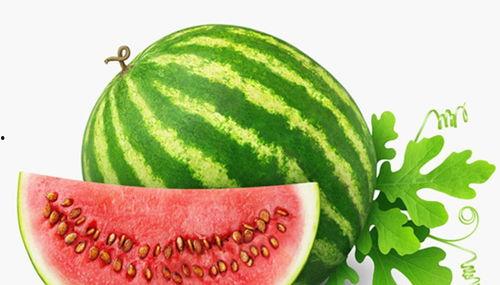 新年吃瓜视频素材大全高清