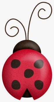 大嘴瓜吃虫子图片大全视频,趣味盎然的生态互动瞬间